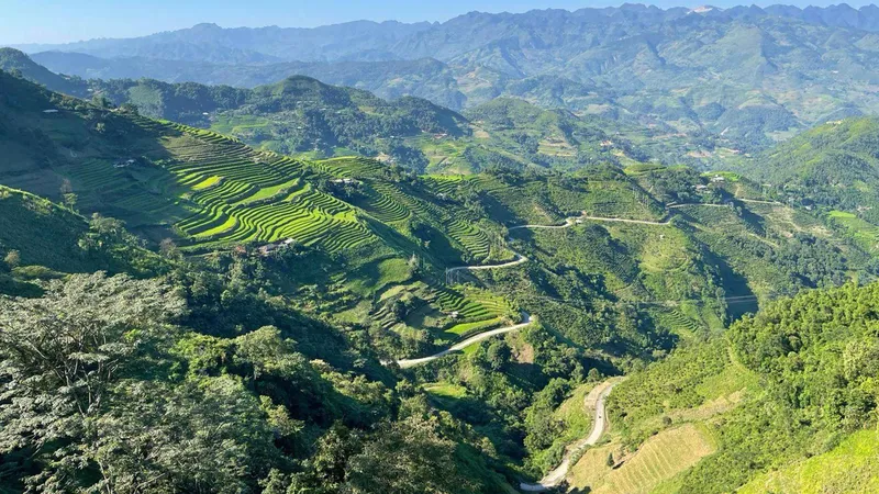Ha Giang Loop Self Drive: Licence Rules and the Real Risk
